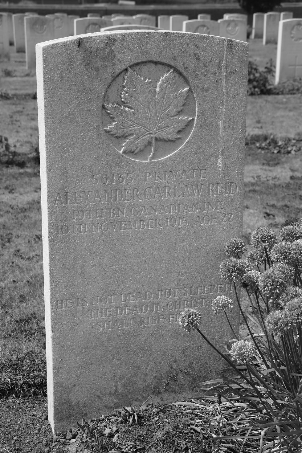 Ridge Wood Military Cemetery, CWGC, Ypres, Ieper, Vierstraat, Canadian Infantry, Longcroft, Falkirk
