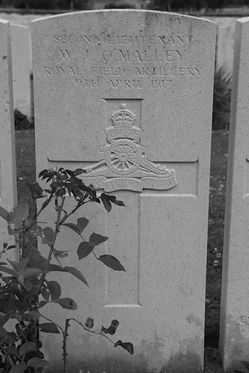 Bedford House Cemetery Enclosure No.4, CWGC, Ypres Salient, Ieper, 2nd Lieutenant William Joseph O'Malley, Son of MP
