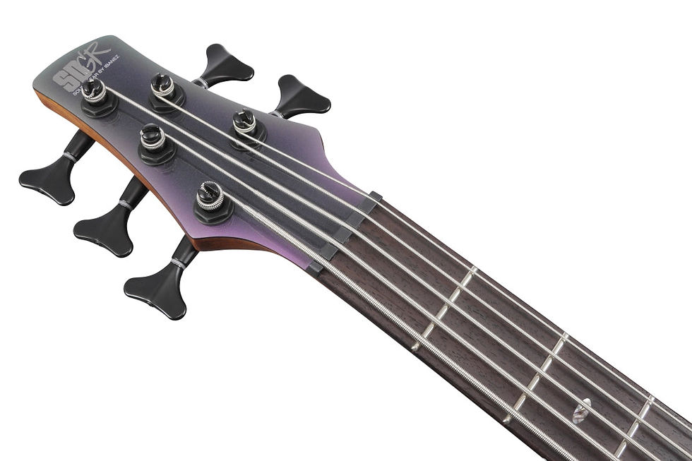 Thumbnail: Ibanez SR505 5 String Bass