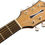 Thumbnail: Fender FA-345CE Auditorium