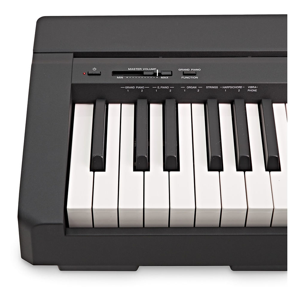 Thumbnail: Yamaha P-45  88-key Weighted Action Digital Piano