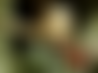 Sobrevivencialismo Urbano: No caos os fins justificam os meios?