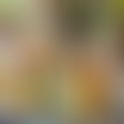 วิธีสร้าง Brand Personality ให้โดดเด่นด้วย Scentotype