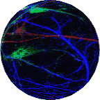output-onlinegiftools.gif