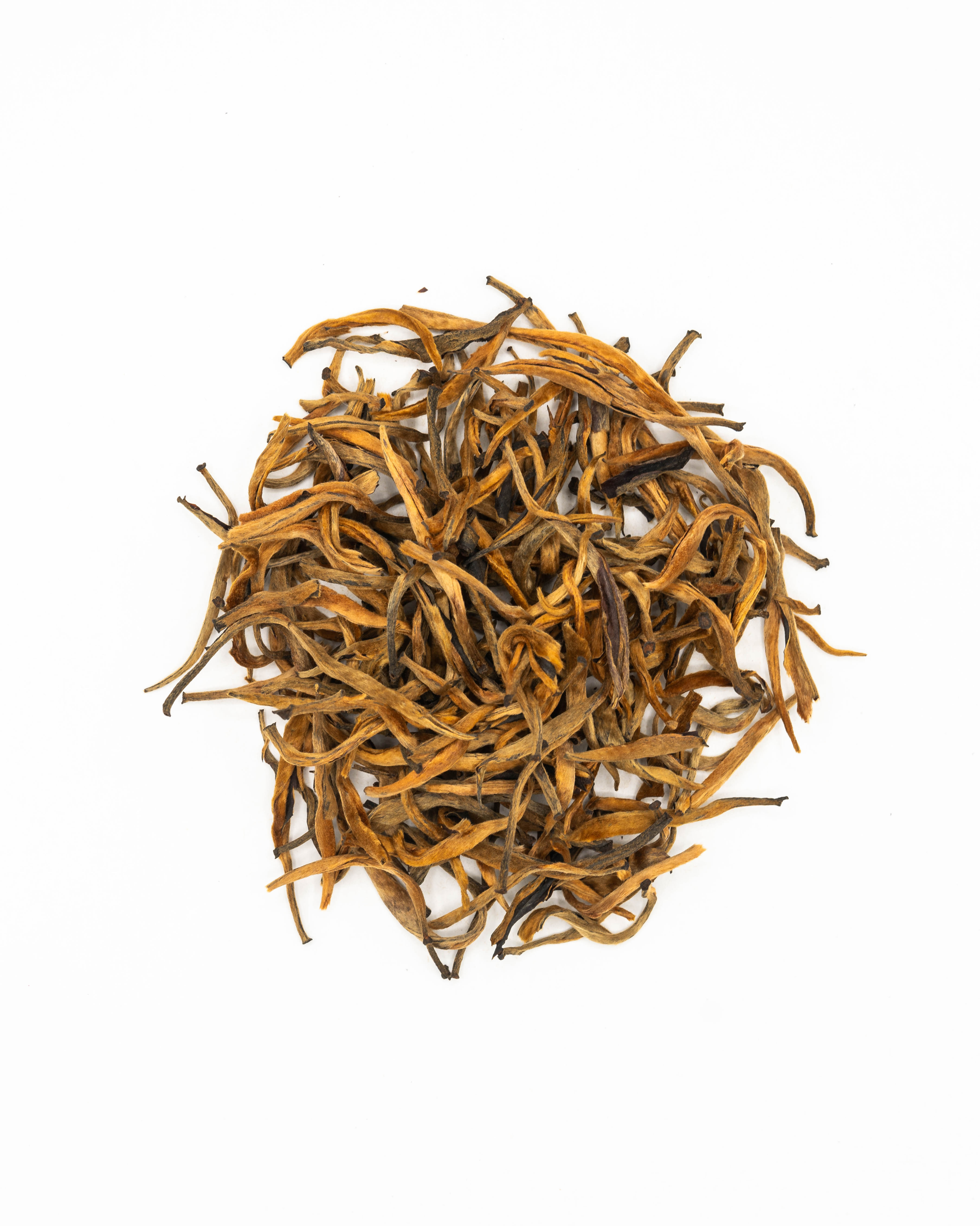 Black Yunnan Golden Monkey