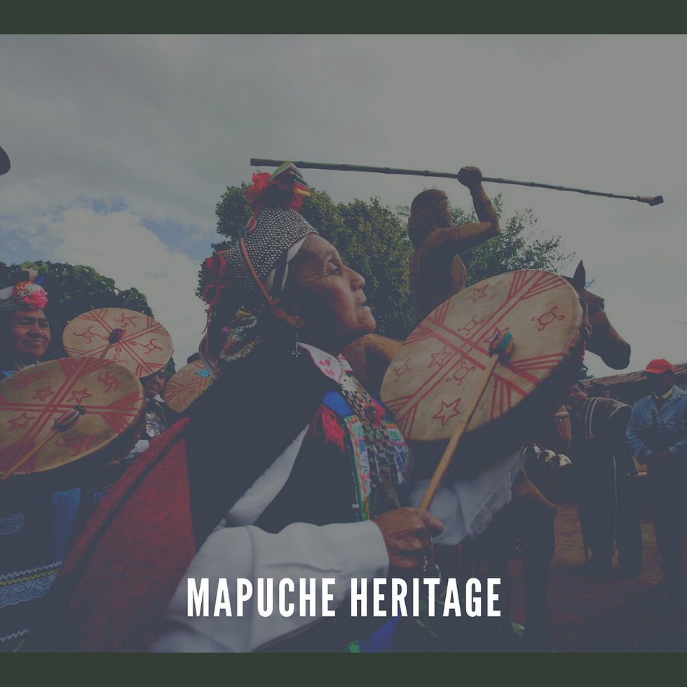 Thumbnail: Chilean Merken