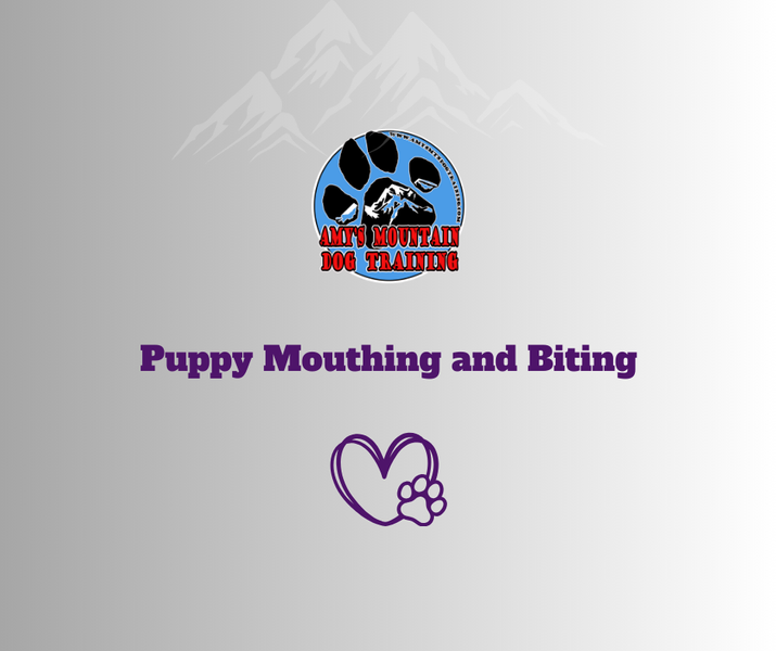 Puppy Mouthing and Biting
