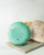 body wash bar wave of aloe met een mooie schelp op een zeepschaaltje