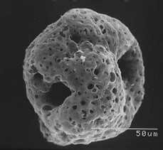 Scan_20170519 (34).jpg