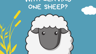 One Sheep