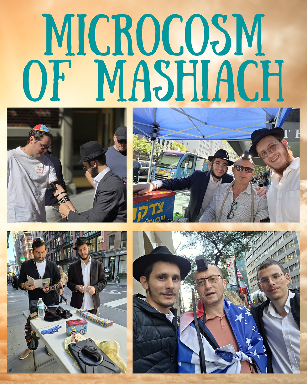 A Microcosm of Mashiach