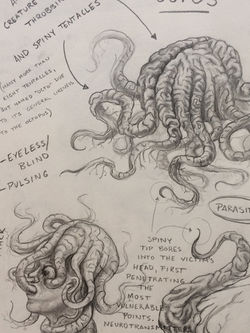 Octo - Monster Illustration