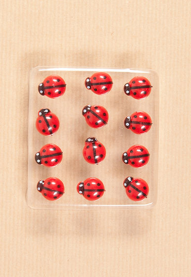 Ladybug Pins