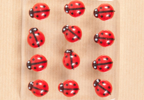 Ladybug Pins