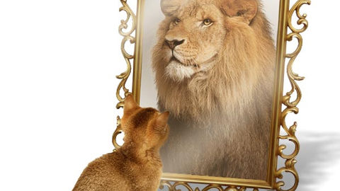 Spieglein, Spieglein an der Wand, wer ist die wichtigste Person im Land?