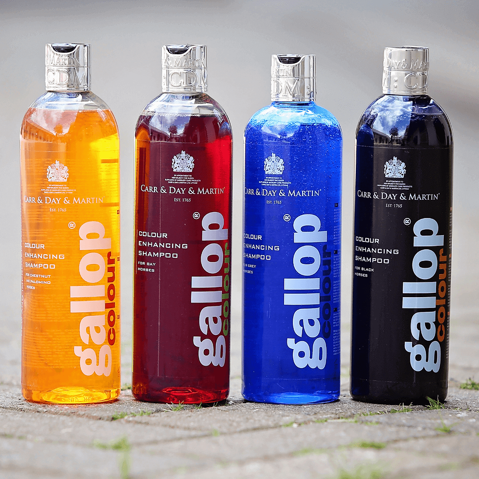 Gallop Colour Enhancing Shampoo- Grey 500ml