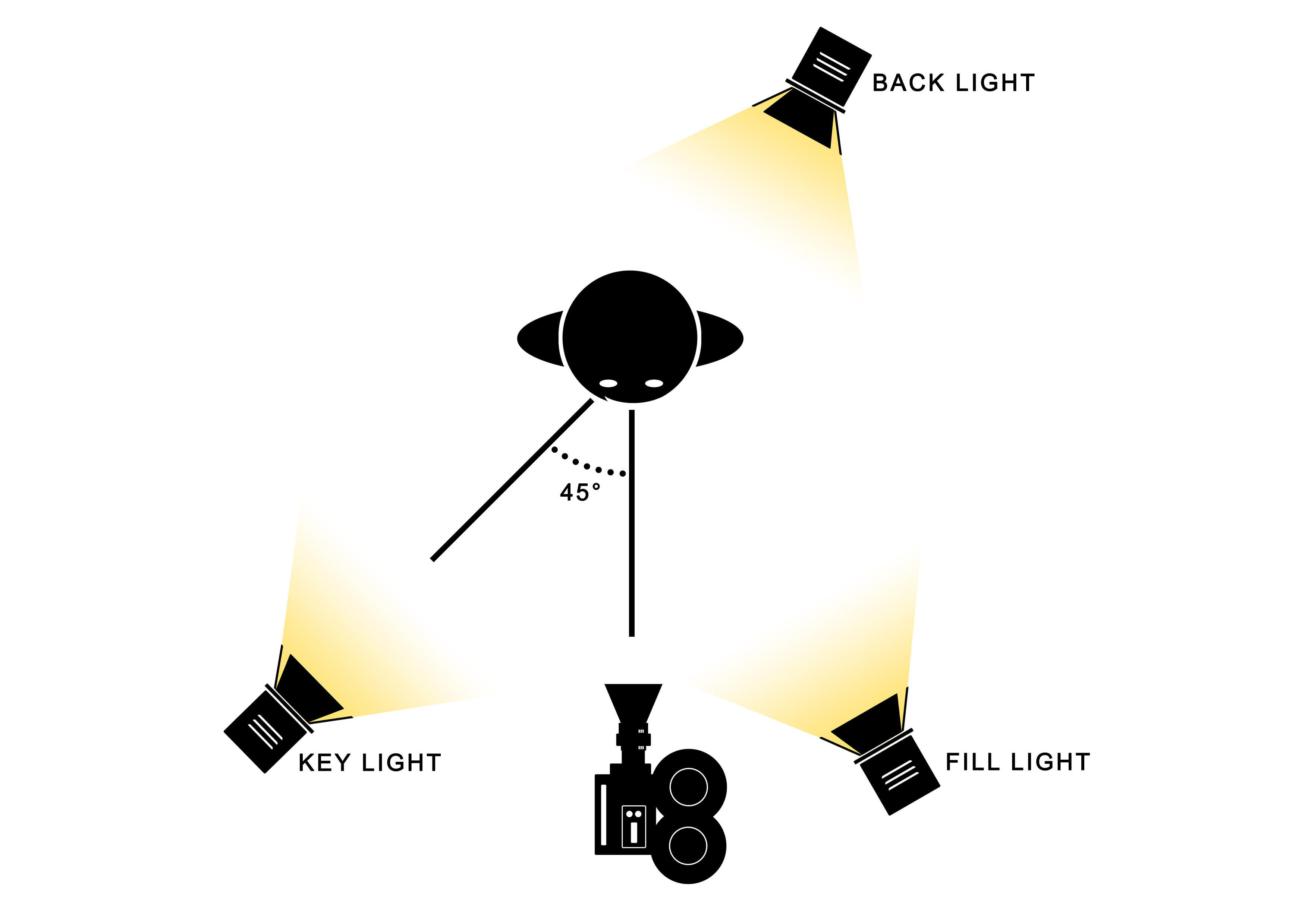 Image result for fill light