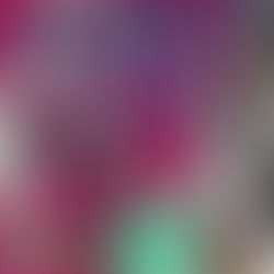 2K Post - Punk Starter Pack 