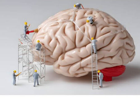 Toxische Beziehung Gehirn: Warum Ihr Gehirn anders reagiert, als Sie erwarten