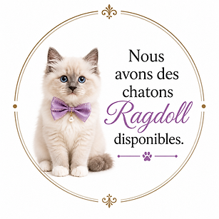 IMG_8321.PNG