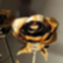Gold Rose.jpg