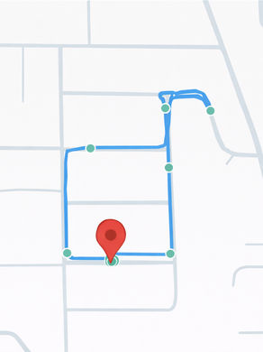 GPS-tracked dog walking route shown on a simplified digital map with waypoints and a red location pin
