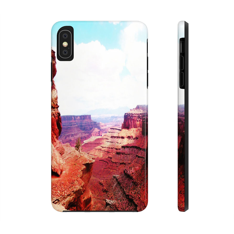 Thumbnail: “Canyonlands View”