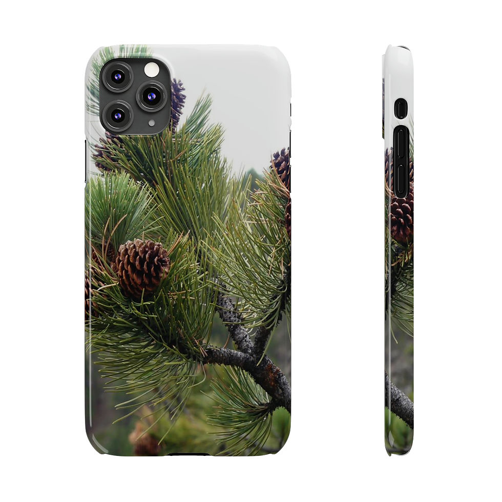 Thumbnail: “Pinecone”