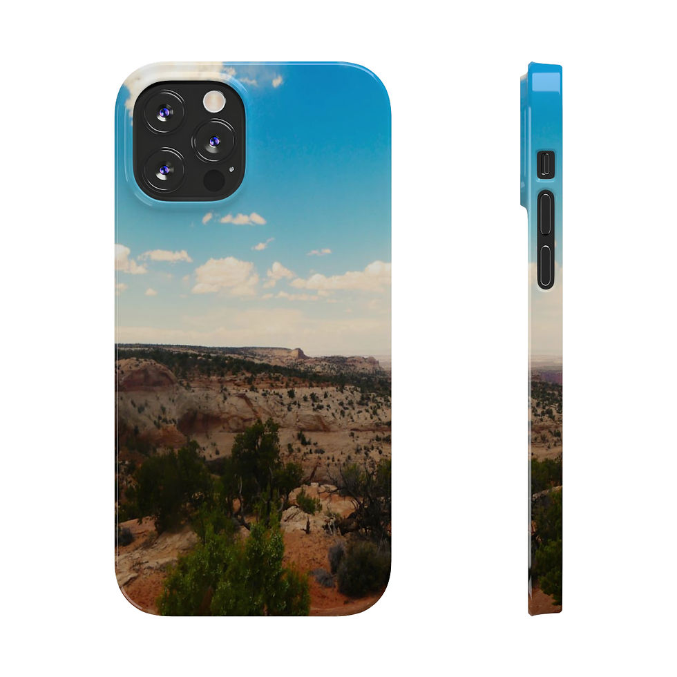 Thumbnail: “Desert land”