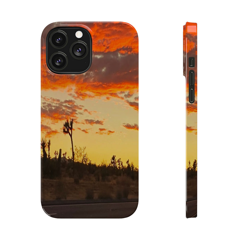 Thumbnail: “Desert Sunset”