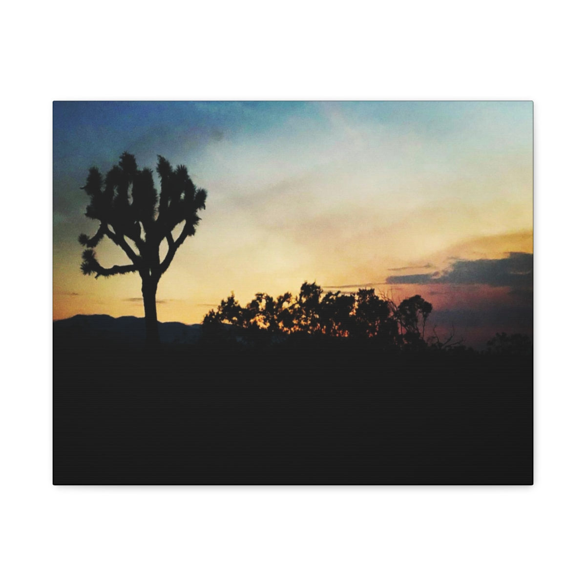 ‘Desert Horizon Sunset‘