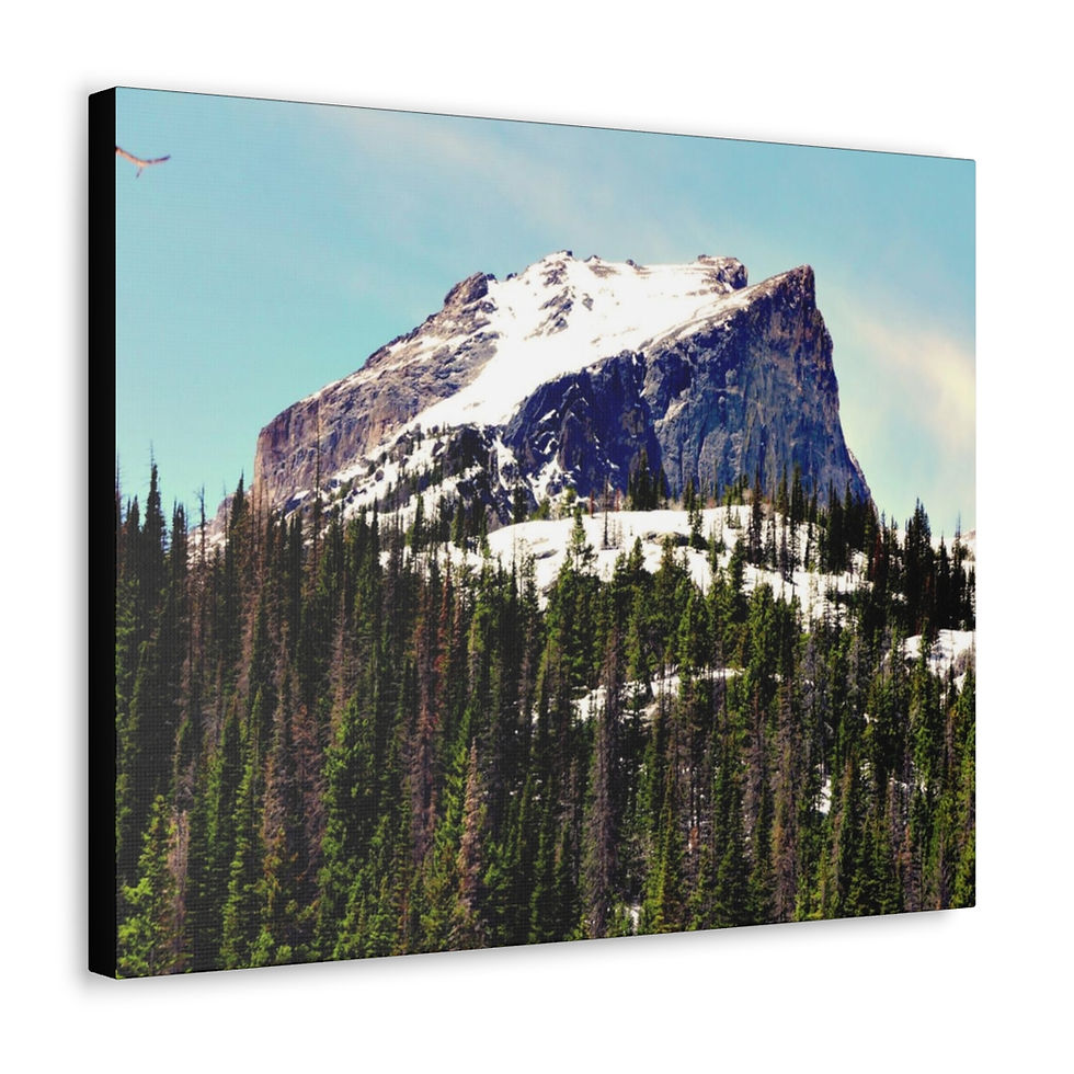 Thumbnail: ‘Heights Unreached’