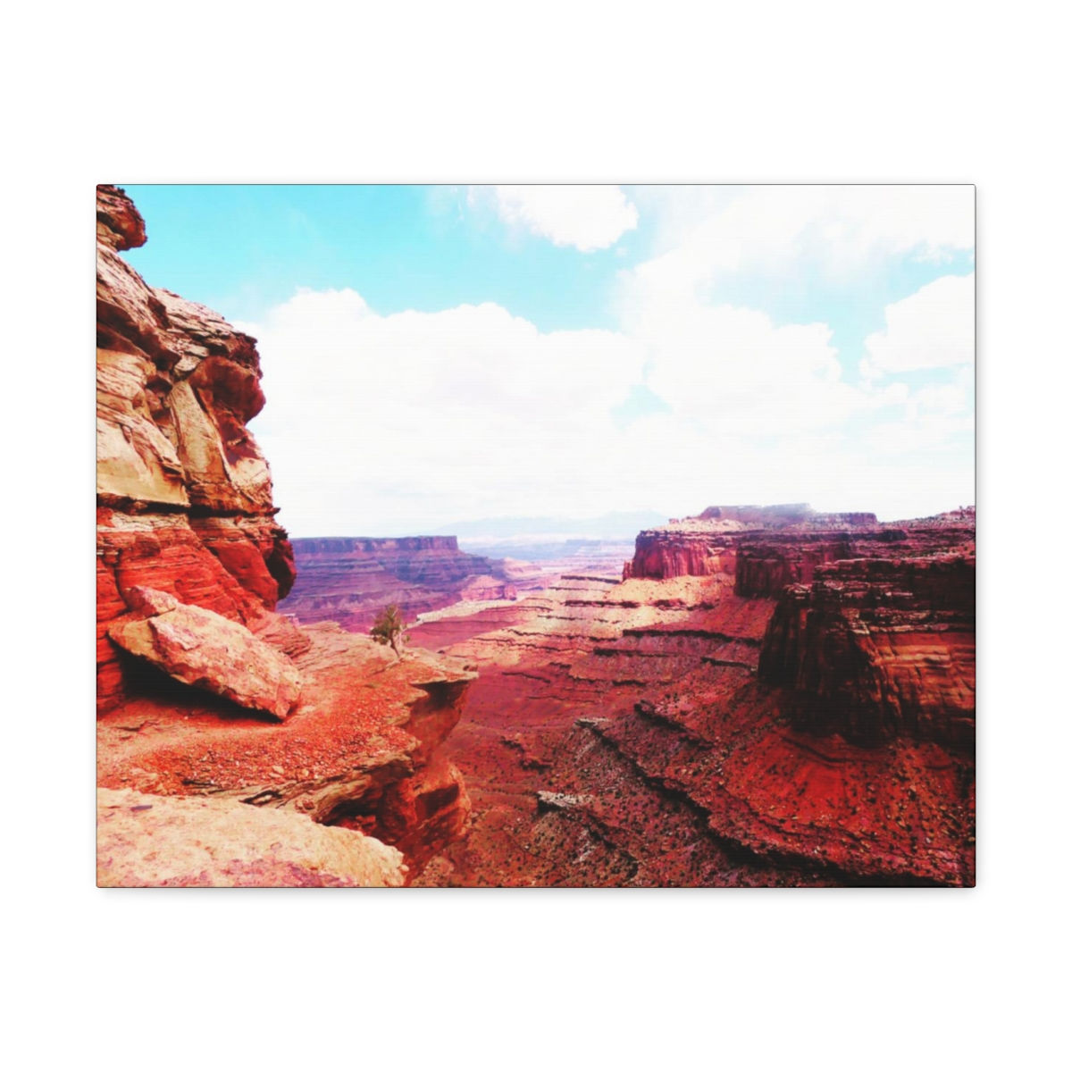 ‘Canyonlands View‘