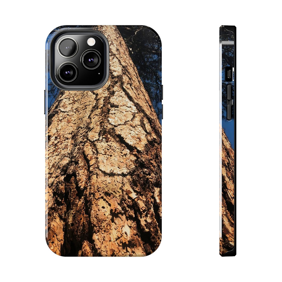 Thumbnail: “Tree of Wonder”