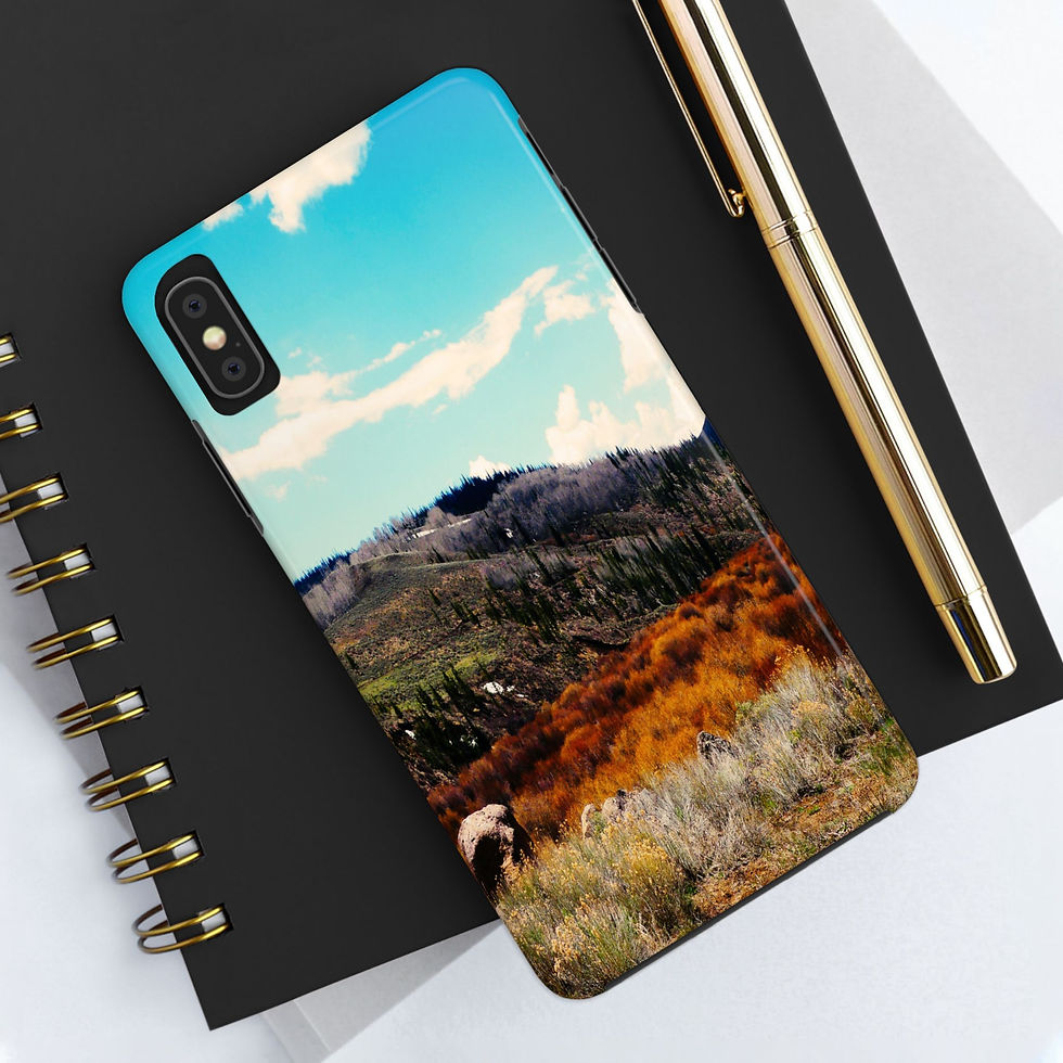 Thumbnail:  “Colorful View”