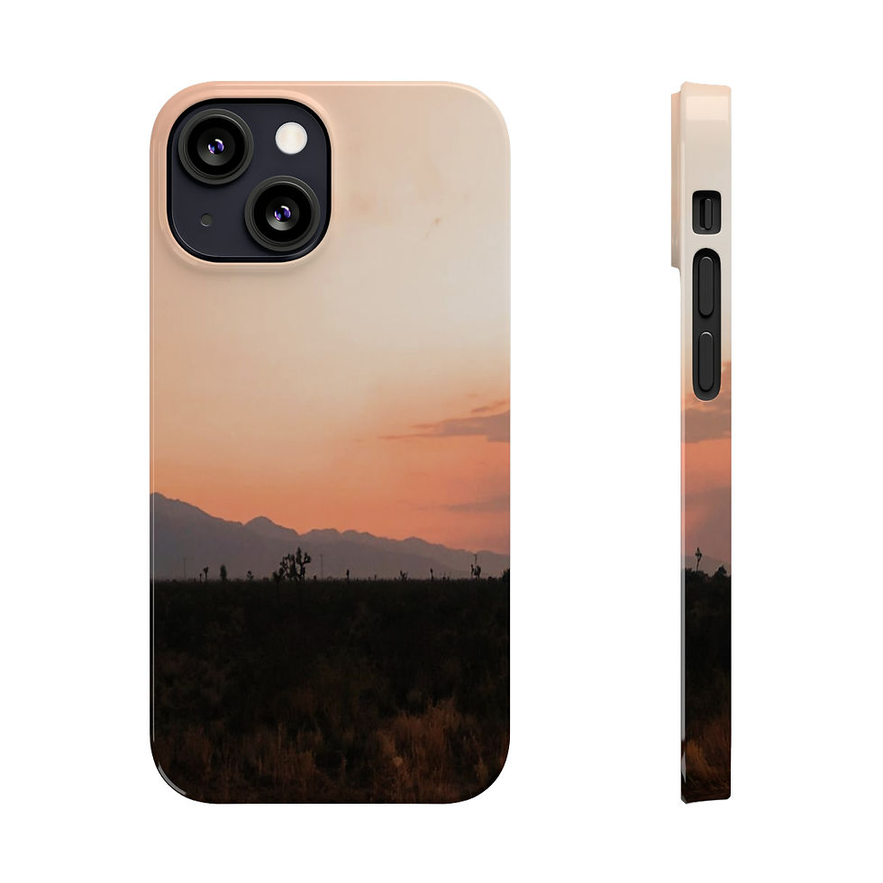 Thumbnail: “Desert Twilight”