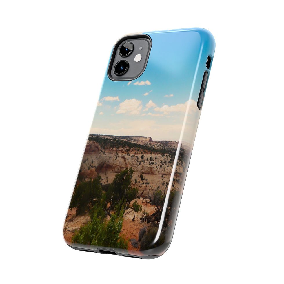 Thumbnail: “Desert Land”