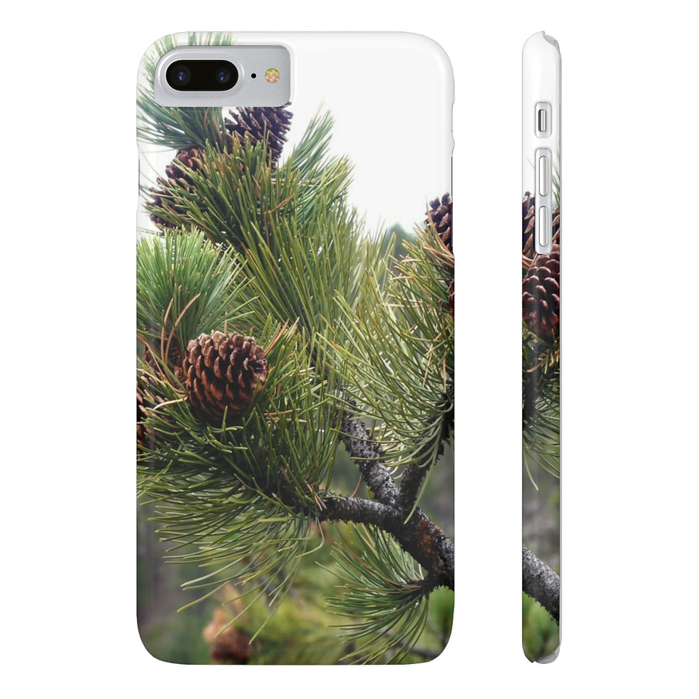 Thumbnail: “Pinecone”
