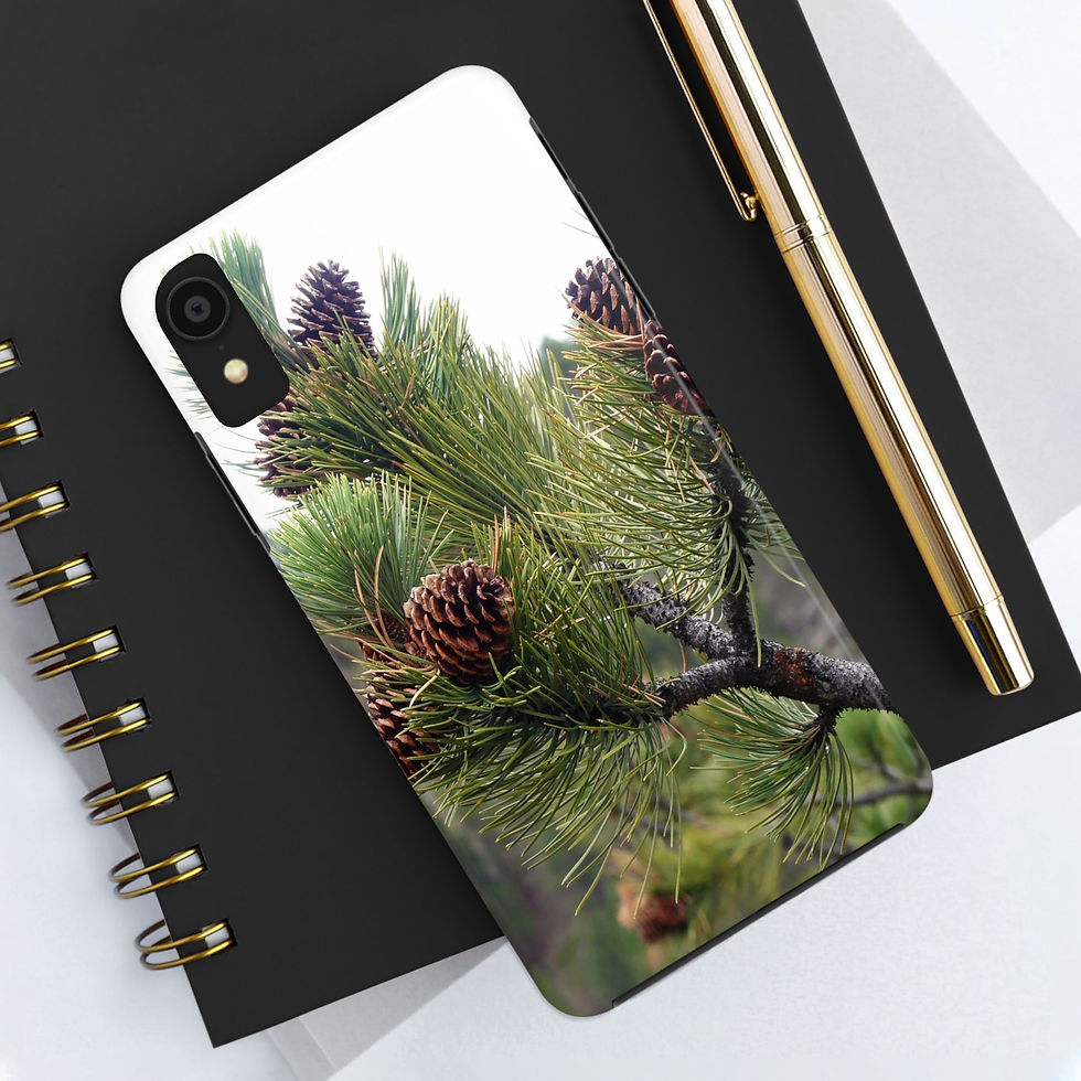 Thumbnail: “Pinecone”