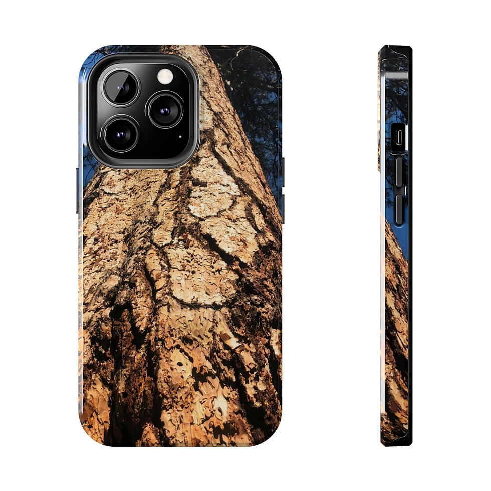 Thumbnail: “Tree of Wonder”