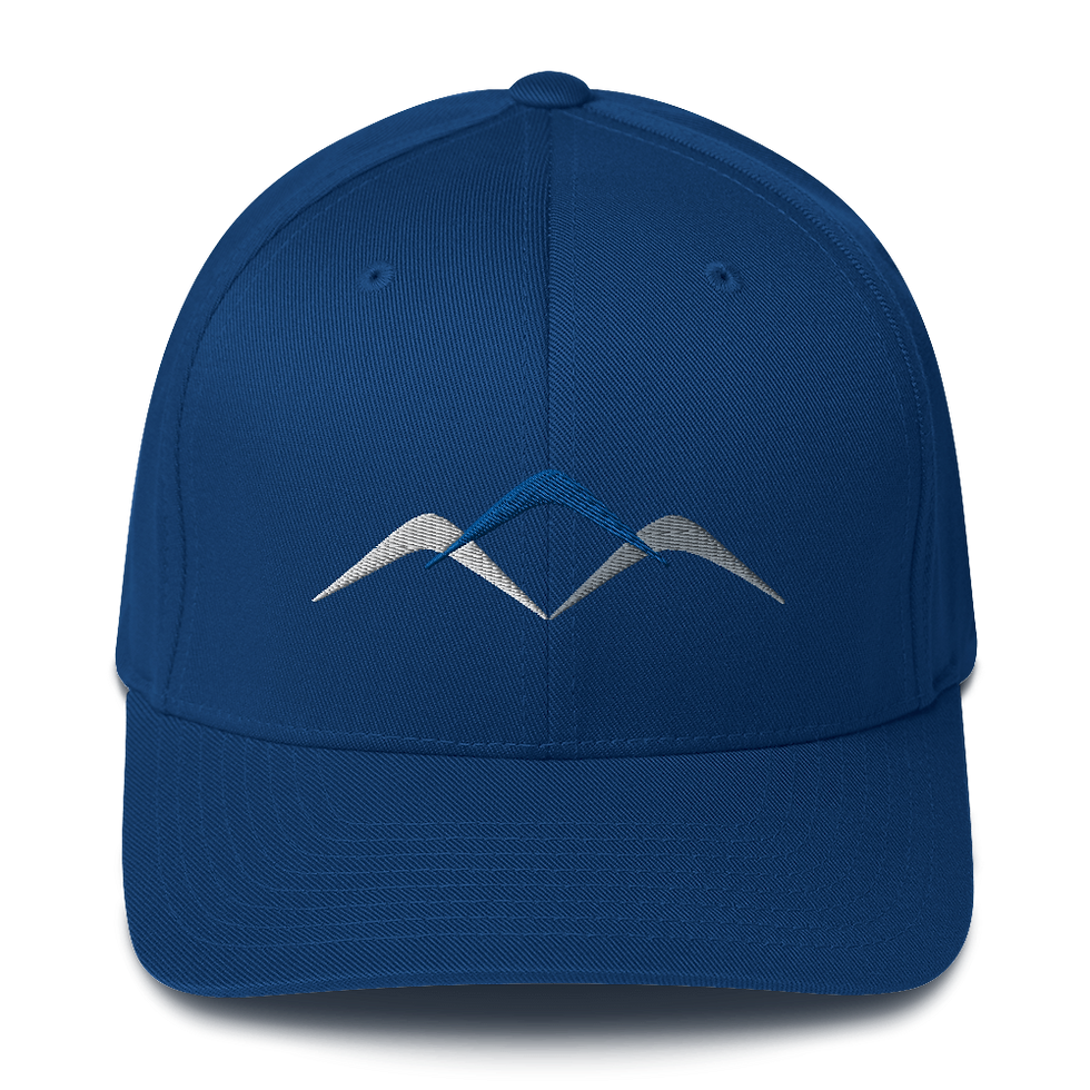 Thumbnail: Freedom Line Chevrons Only Fitted Hat