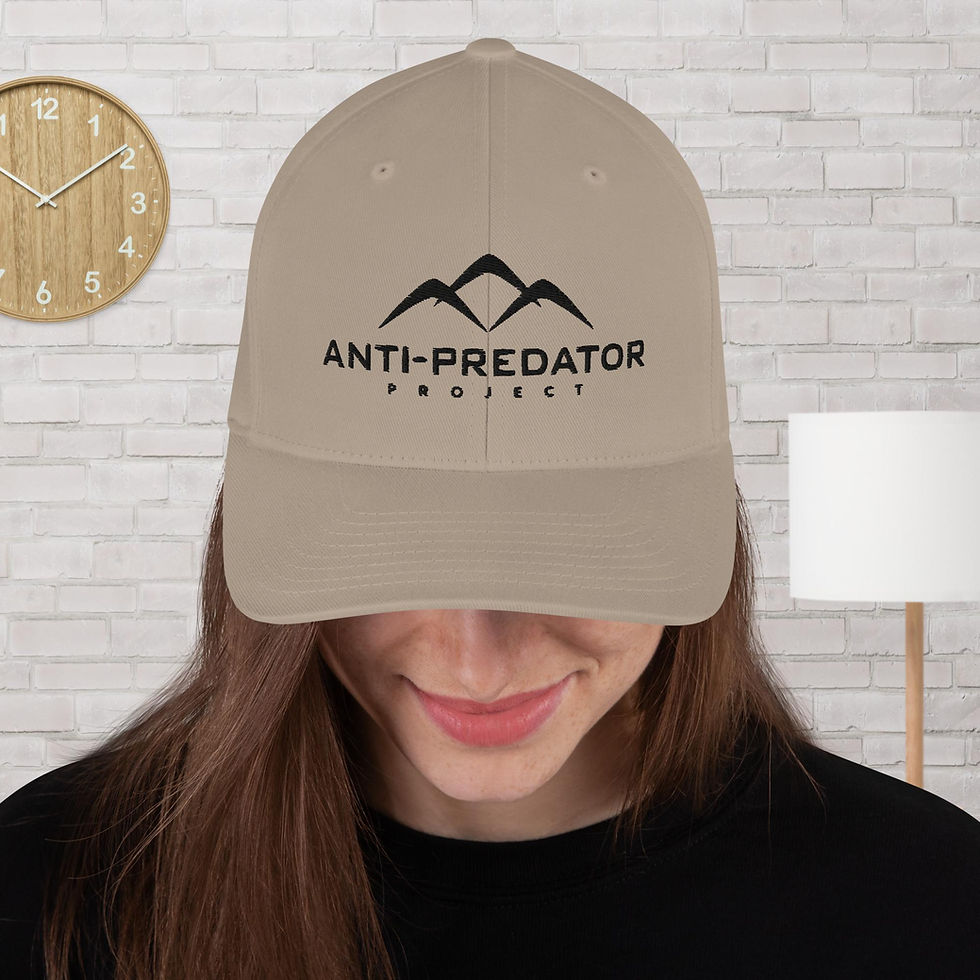 Thumbnail: Structured Twill Cap