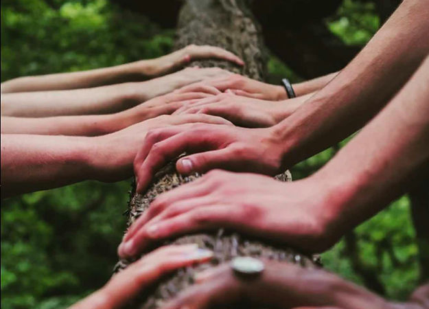psychedelic_integration