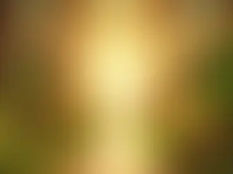 Fear or Faith? The Choice That Shapes Everything