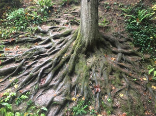 Wake up and Be Happy!