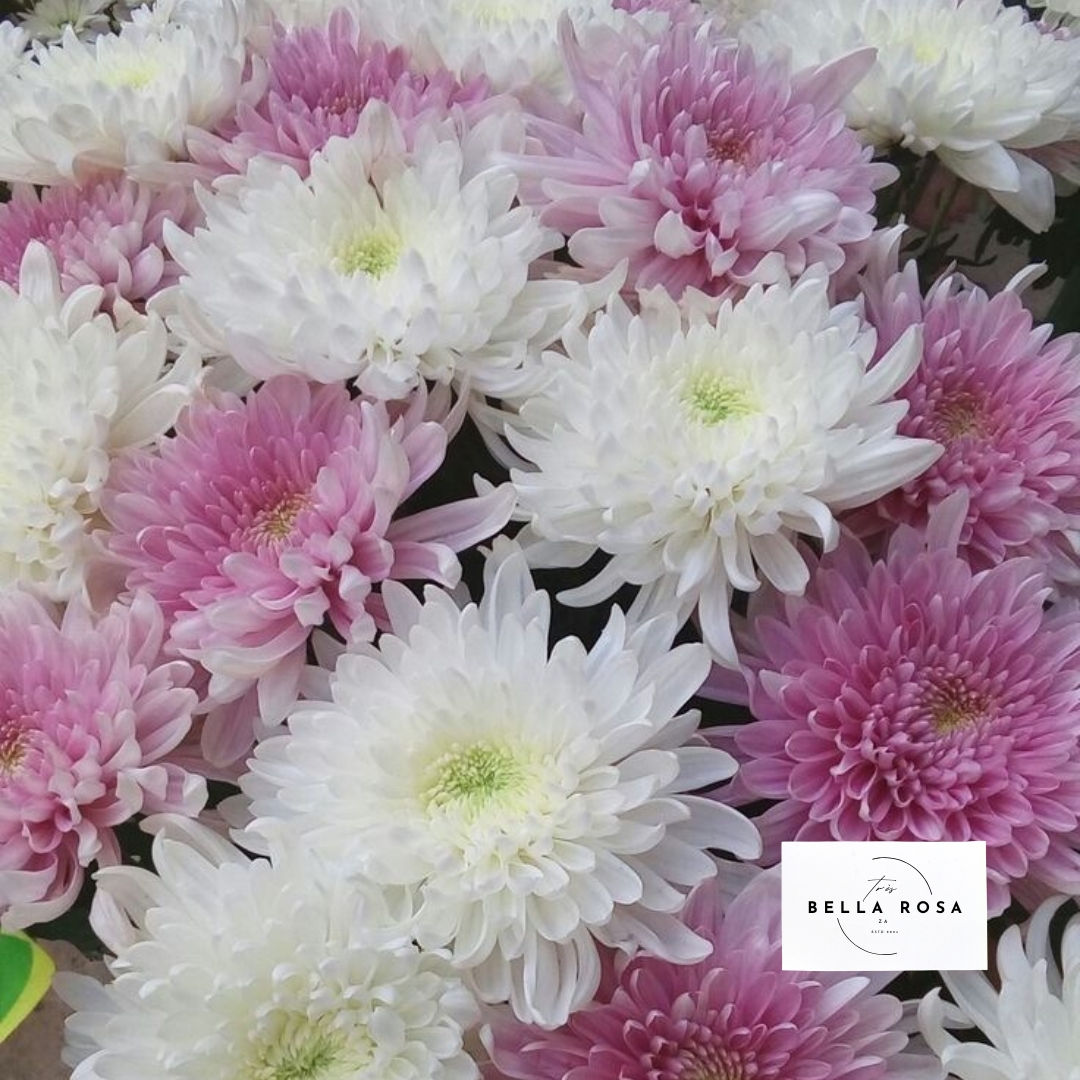 Decorative Dahlia Bouquet 