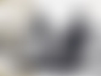Cannes 2026: la question française