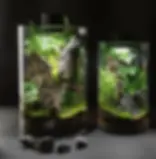 Sustainable gift idea