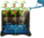 Self-Watering Raised Planter Box with Trellis