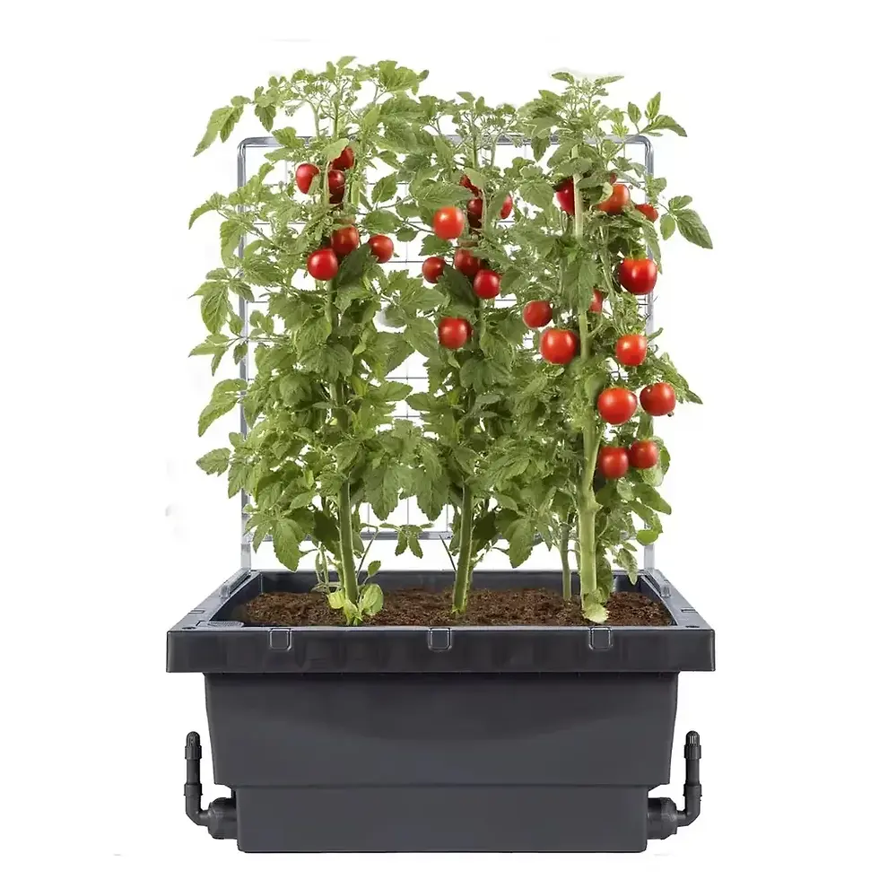 Thumbnail: Foodcube Trellis